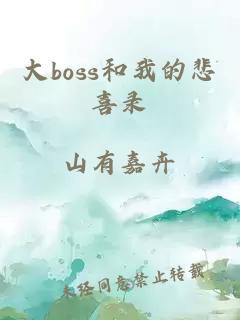 大boss和我的悲喜录