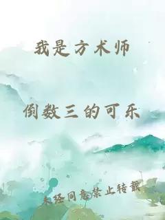 我是方术师