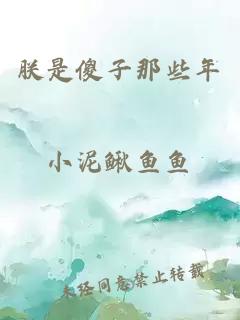 朕是傻子那些年